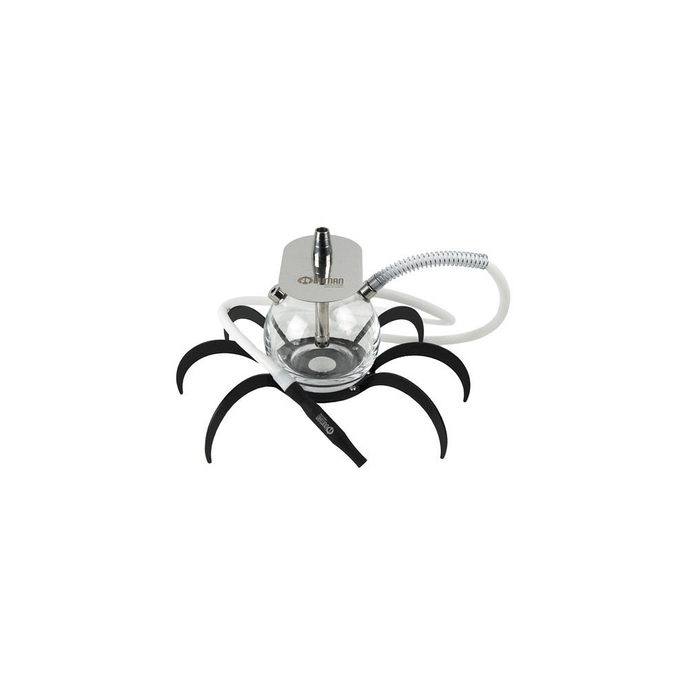 VF Oduman-Vogelspinne 24 cm