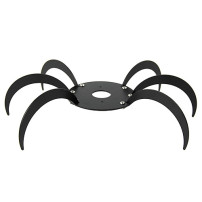 VF Oduman-Vogelspinne 24 cm