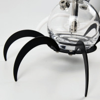 VF Oduman-Vogelspinne 24 cm