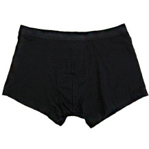 Dreambox Shorts