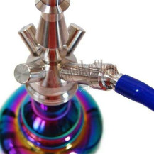 Hookah AMY GLOBE Chameleon