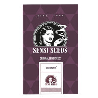 Sensi Seeds Jack Flash Nr. 5 (3 Samen) - Feminisiert - Packung