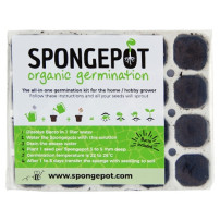 Spongepot-Wurzel