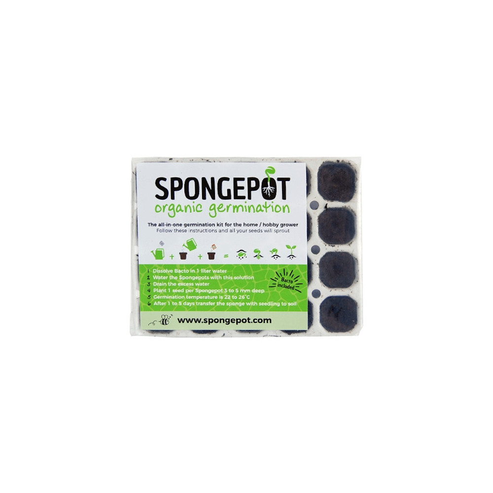 Spongepot-Wurzel