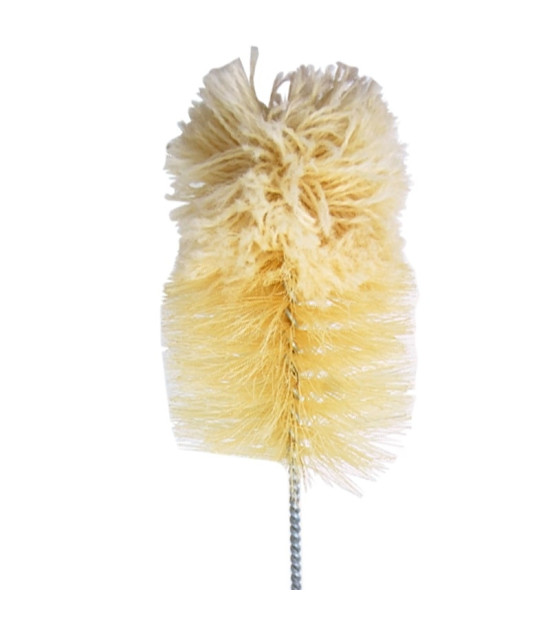 hove-image