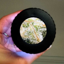 Donut-Box mit Lupe und LED-Licht Smokus Fokus Horizon schwarz