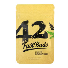 Original Auto Northern Lights (3 Samen) - Fast Buds Cannabis-Samen - Vorderansicht