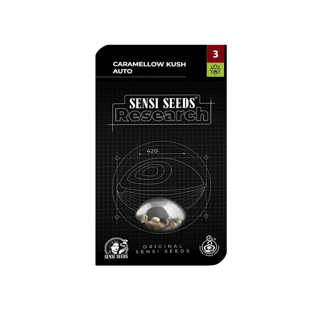 Caramellow Kush Automatic Marihuana-Samenpackung (3 Samen) - Sensi Seeds Research Marihuana-Samen