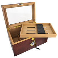 Gastro 50 Zigarrenhumidor aus Wurzelholz