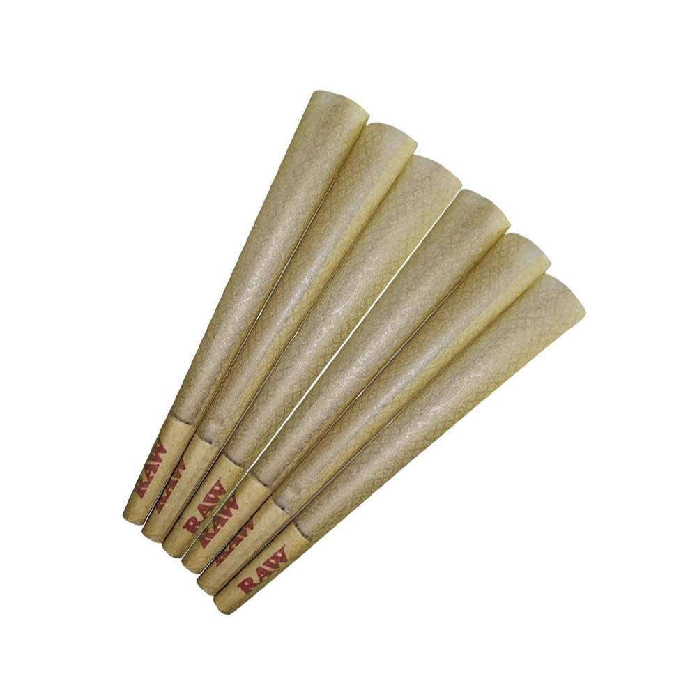 Rohkegel – konische Gelenkhülsen, 6 Stück