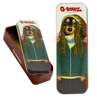 DreamBox G-ROLLZ Pets Rock Kleine Box B