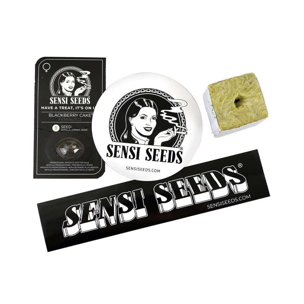 5-Euro-Freunde-Geschenkset: Sensi Seeds feminisierte Samen, Sensi Seeds Aufkleber und Bewurzelungswerkzeug