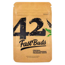 Original Auto Big Bud (3 Samen) Auto - Cannabis-Samen mit schneller Blüte