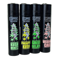 Clipper-Serie PLANTZ 6
