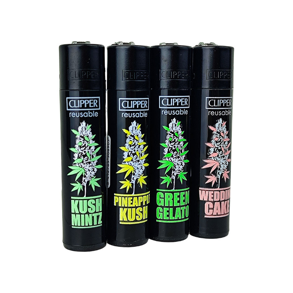 Clipper-Serie PLANTZ 6