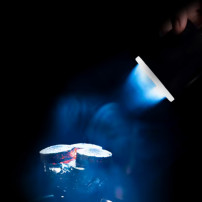 Shisha-Gebläse – LED-Licht, das die Kohlen einer Shisha beleuchtet