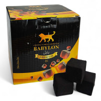 Shisha-Set - Kaya Inox Trady Taurus - Kohlen