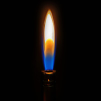 CLIPPER Tube WEED SHIELD Feuerzeug - sanfte Flamme
