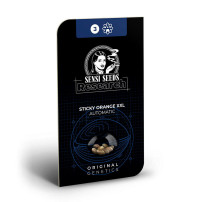Sensi Seeds Research Sticky Orange XXL Auto - Box