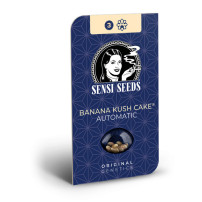 Sensi Seeds Banana Kush Cake (3 Samen) - Automatisch - Box