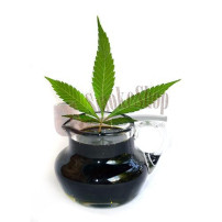 BIO Kaltgepresstes Hanföl 250 ml